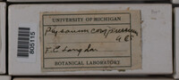 Physarum compressum image